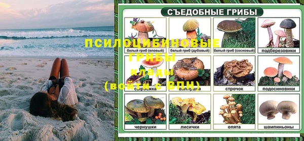 индика Магадан
