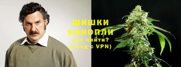 индика Магадан