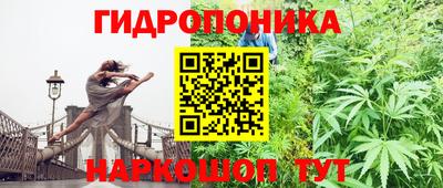 ПСИЛОЦИБИНОВЫЕ ГРИБЫ Канаш