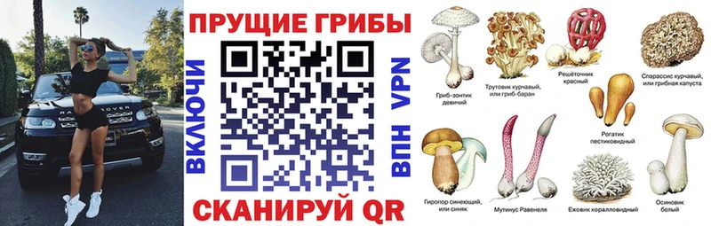 Псилоцибиновые грибы Magic Shrooms  Углич 