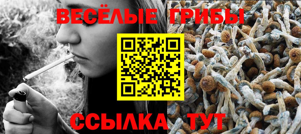Углич  Галлюциногенные грибы GOLDEN TEACHER  Вход с VPN 
